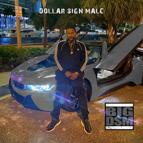 Big Dsm