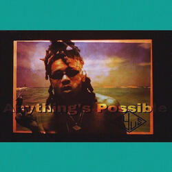 Anything's Possible