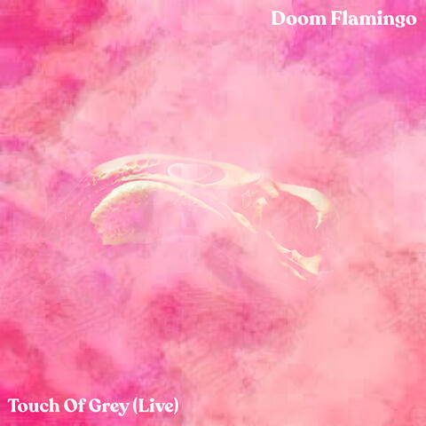 Touch of Grey (Live)