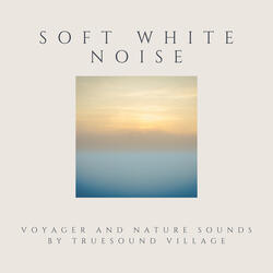 Moog Voyager and Waterfall White Noise No Fades