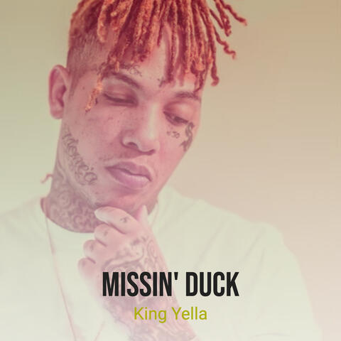 Missin' duck
