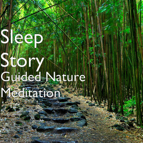 Guided Nature Meditation