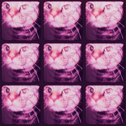 1995