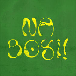 Na Boyi