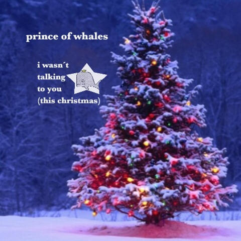 I Wasn't Talking to You (This Christmas)