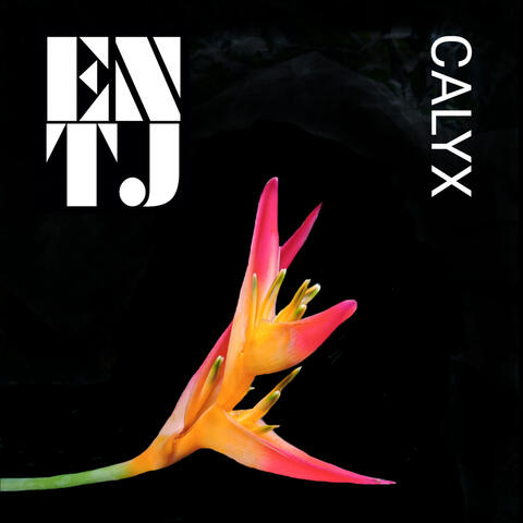 Calyx