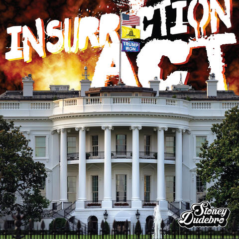 Insurrection Act