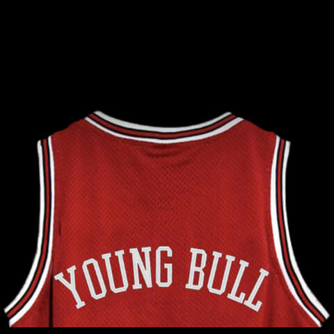 Young Bull