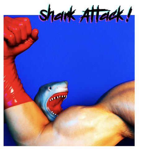 Shark Attack!