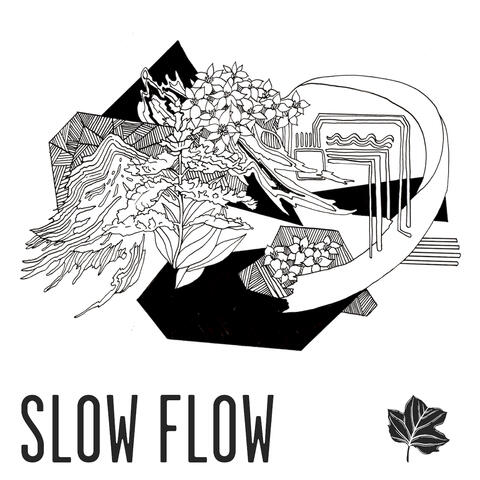 Slow Flow