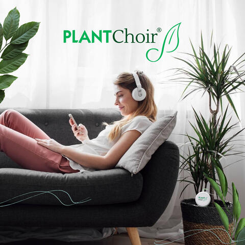 Plantchoir