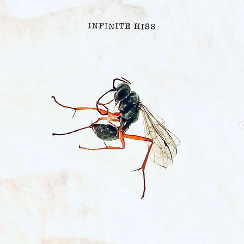 Infinite Hiss