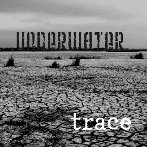 Trace