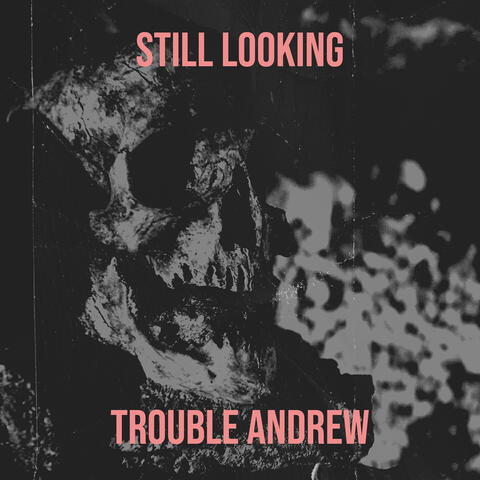 Still Looking