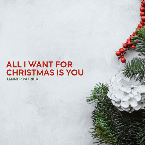 All I Want for Christmas Is You