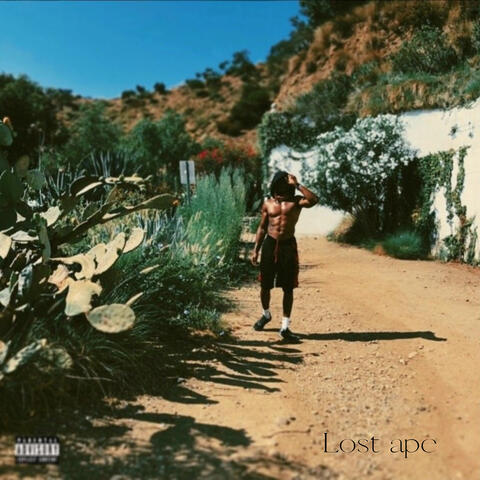 Lost Ape