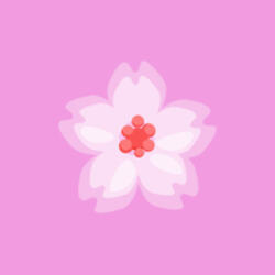 Blossom