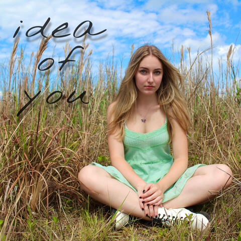 Idea of You