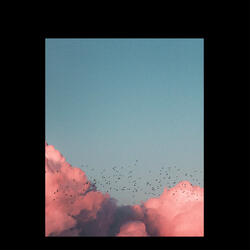 'Tis so Sweet to Trust in Jesus (Live)