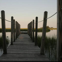 Dock Chillin