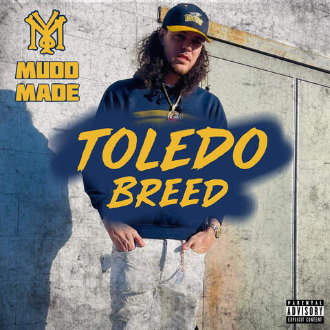 Toledo Breed