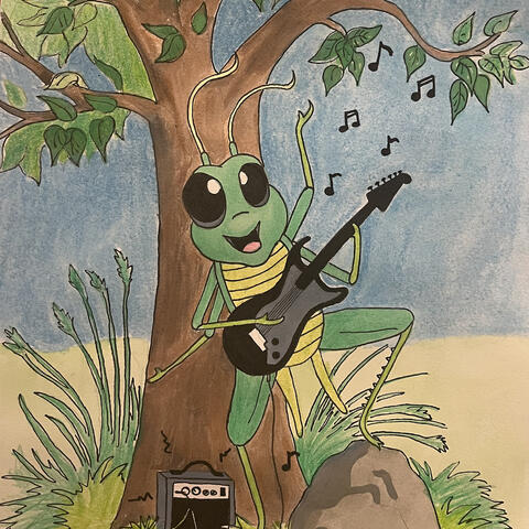 Mr. Cricket