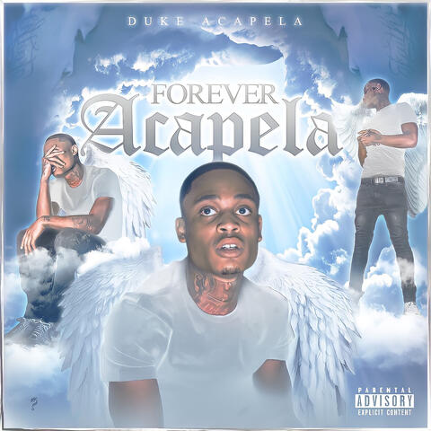 Duke Acapela