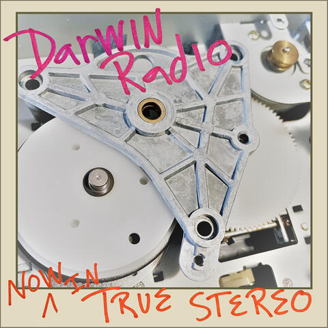 Now in True Stereo