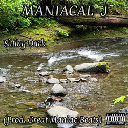 Sitting Duck