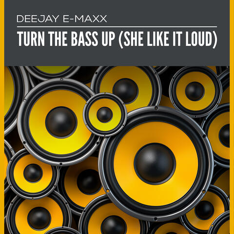 Turn the Bass up (She Like It Loud)