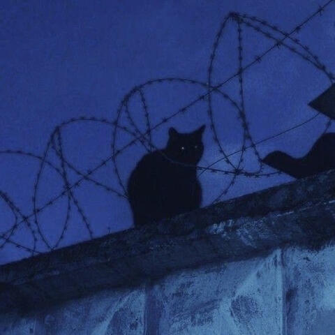 D.L.V