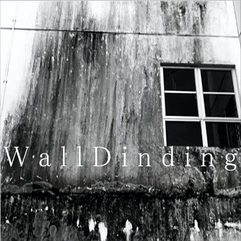 WallDInding