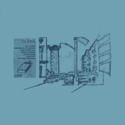 Wildest Dreams (Live)