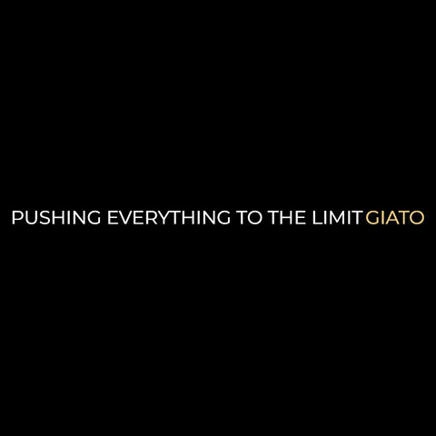Pushing Everything to the Limit