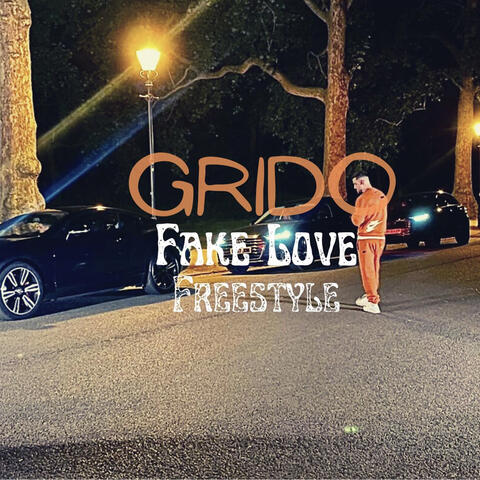 Fake Love (Freestyle)