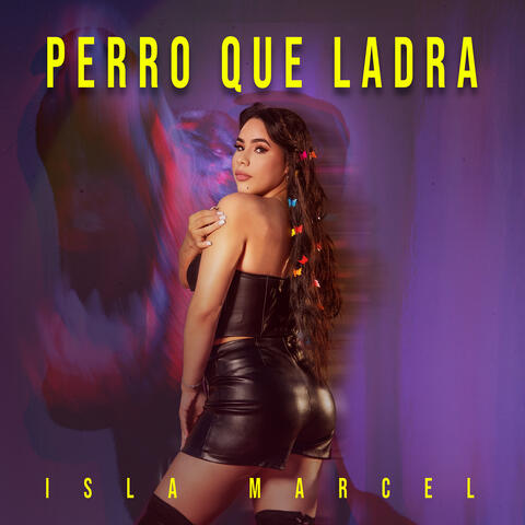 Perro Que Ladra