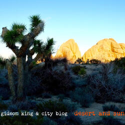 Desert and Sun