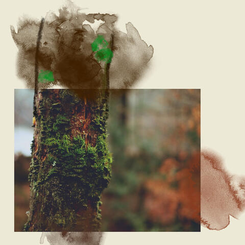 Rainsong