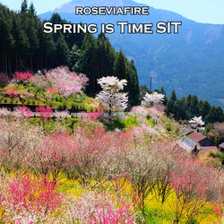 Spring Is Time Sit