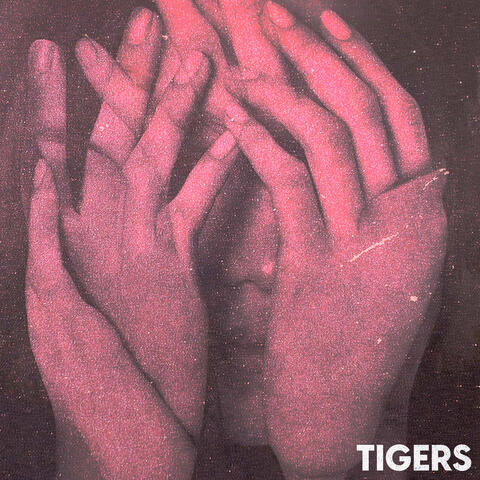 Tigers