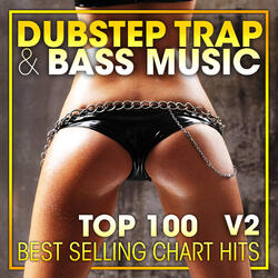 The Lorax & Random - Fast Forward Selecta ( Dubstep Trap Bass Music Mix )