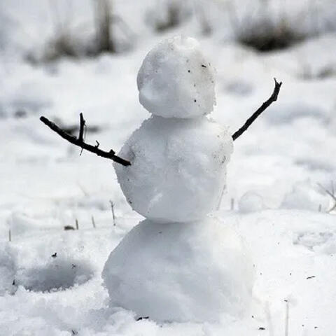 Bonhomme de neige