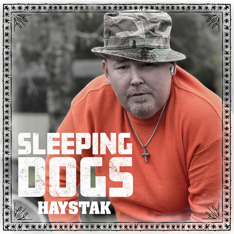 Sleeping Dogs