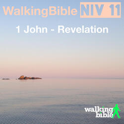 1 John 5:11-12
