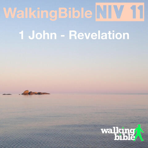 WalkingBible Niv 11 1 John - Revelation
