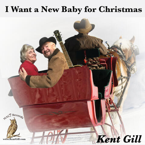 I Want a New Baby for Christmas