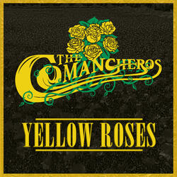 Yellow Roses