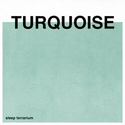 Turquoise (Noise)