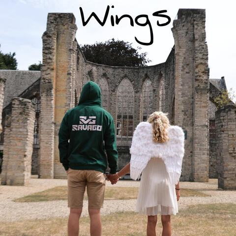 Wings
