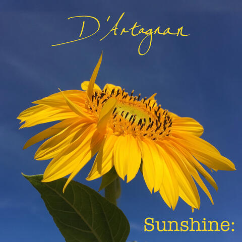 Sunshine